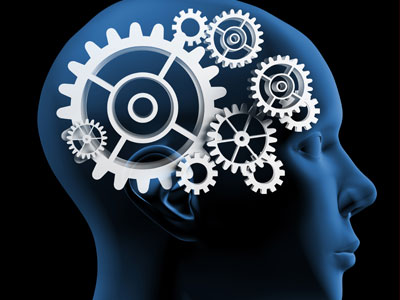 images/eveimages/brain/1.jpg